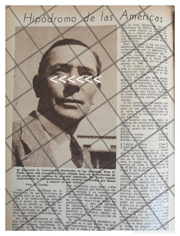 Sammeln von Plakaten: AFICHE RETRO FRED H. PARKS, HIPODROMO DE LAS AMERICAS