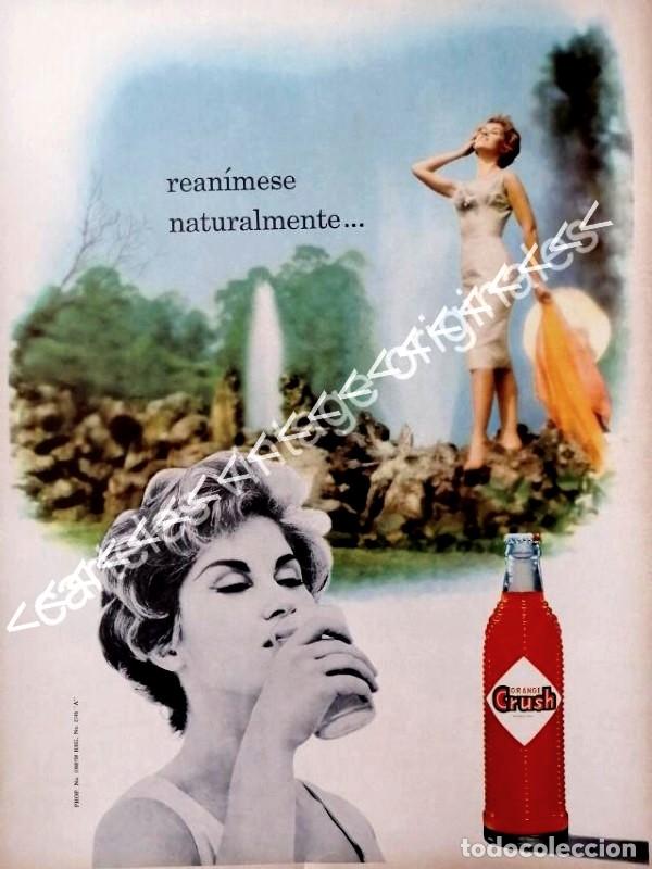 Sammeln von Plakaten: CARTEL RETRO. ORANGE CRUSH Y ANA BERTHA LEPE 1959