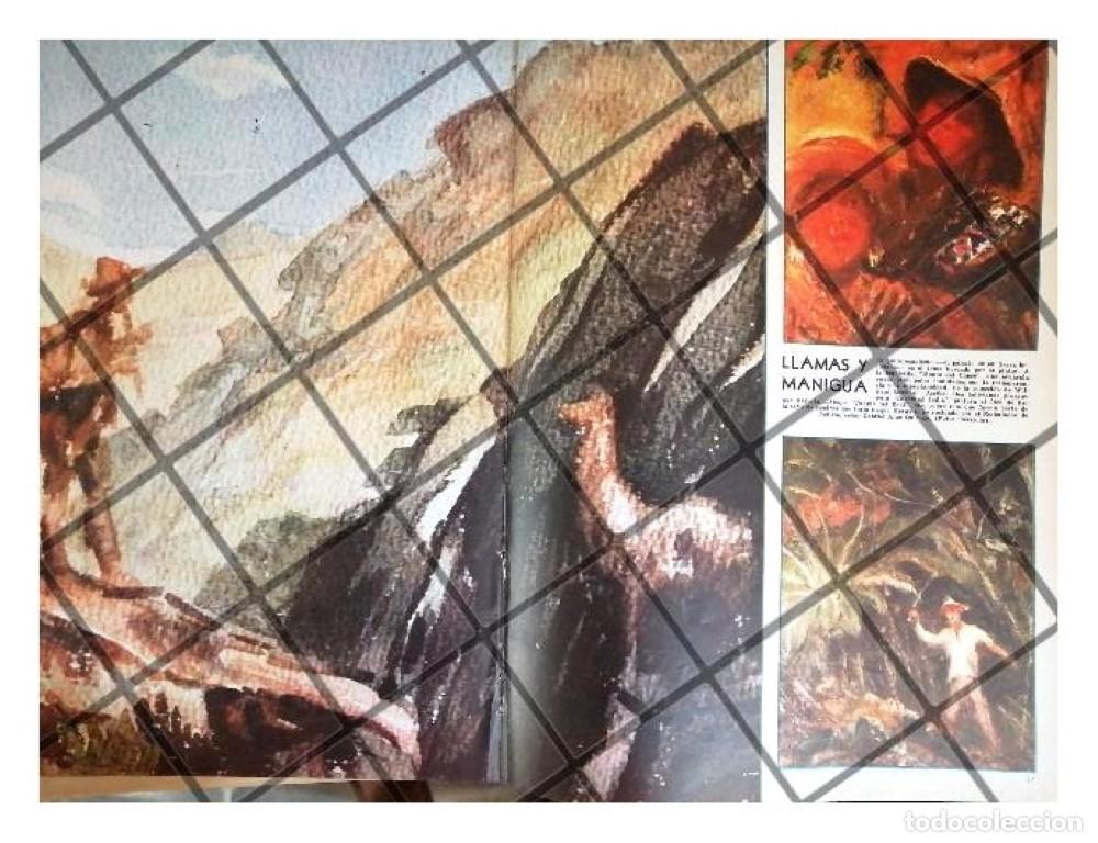 Collectionnisme d'affiches: AFICHE RETRO PINTOR ARTURO REQUE MERUVIA EN MEXICO 1956