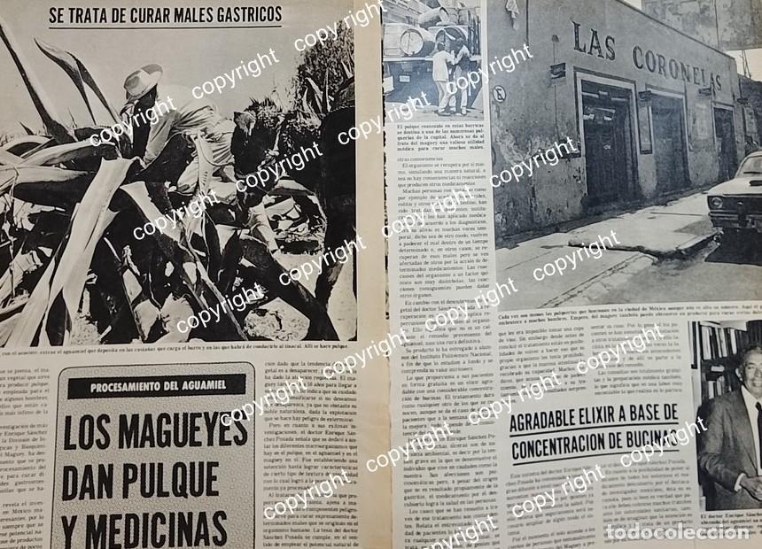 Collezionismo di affissi: AFICHE VINTAGE. EL PULQUE Y LAS PULQUERIAS 1978
