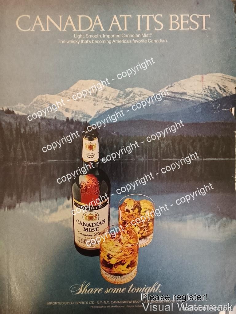 Coleccionismo de carteles: Cartel de publicidad retro WHISKY CANADIAN MIST 1979