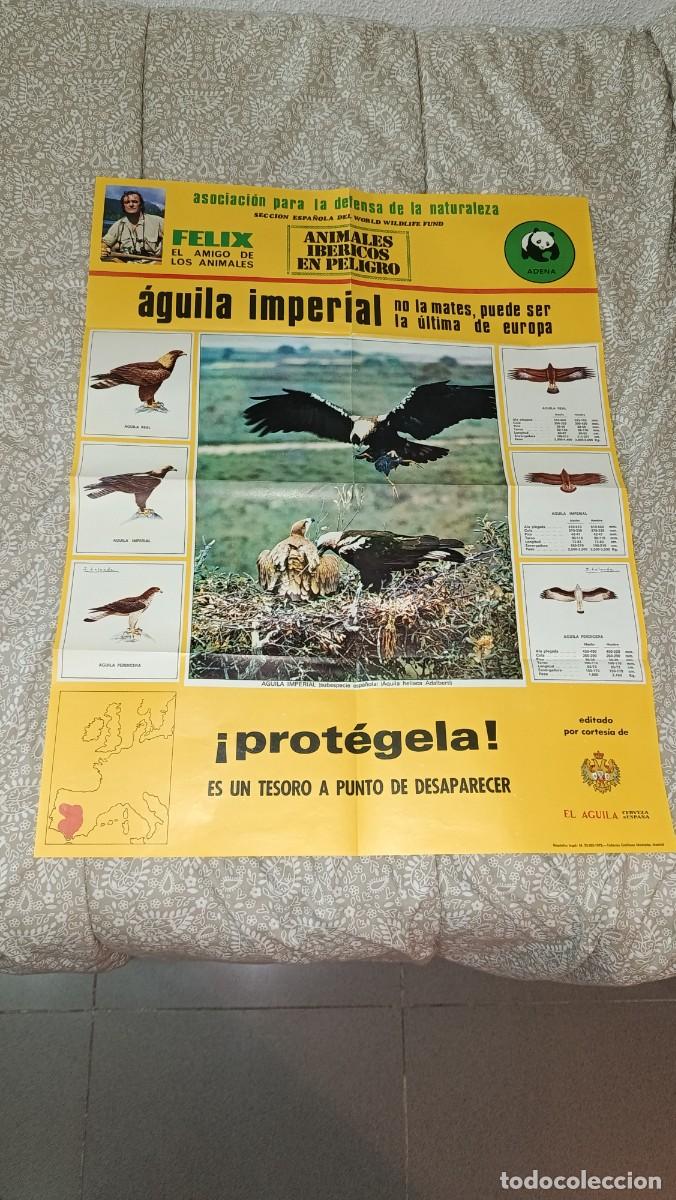 Coleccionismo de carteles: ANTIGUO CARTEL POSTER DE ADENA FELIX RODRIGUEZ DE LA FUENTE - AGUILA IMPERIAL - CERVEZAS AGUILA 1972