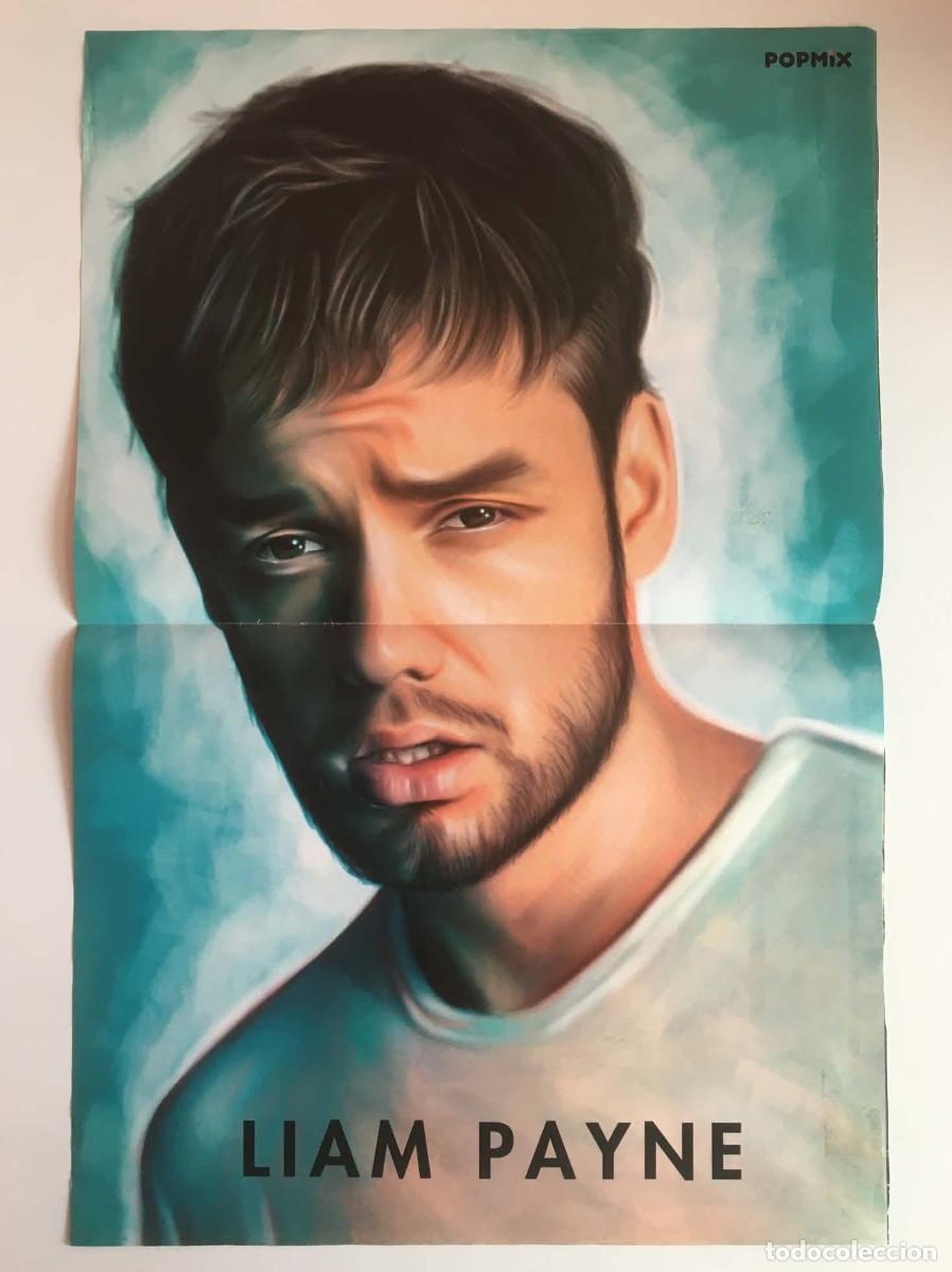 Poster collecting: Liam Payne One Direction / Marina and the Diamonds / Max & Harvey Poster A3 Turkish PopMix Magazine
