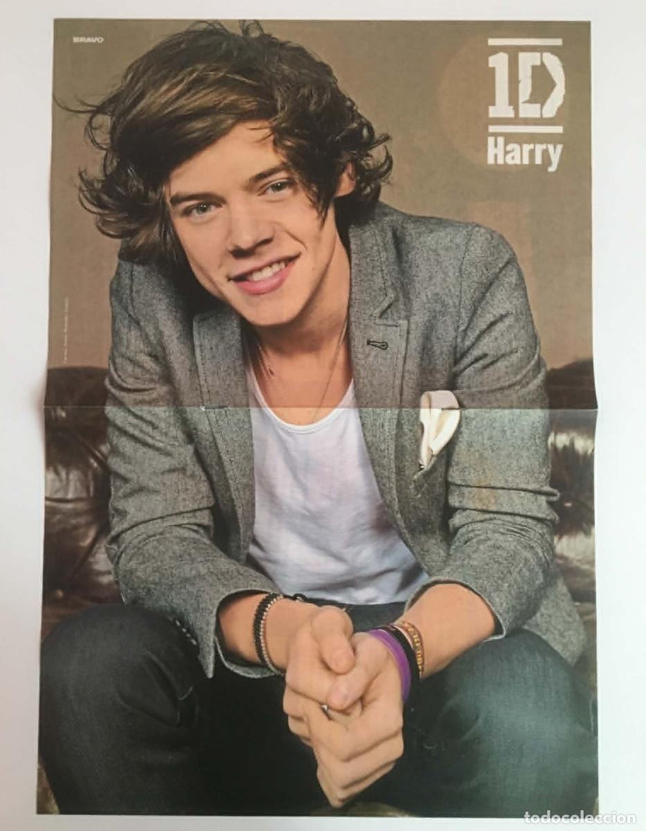 Coleccionismo de carteles: Harry Styles One Direction Poster & Trivia Article А3 Bravo Bulgaria Special 1D Music