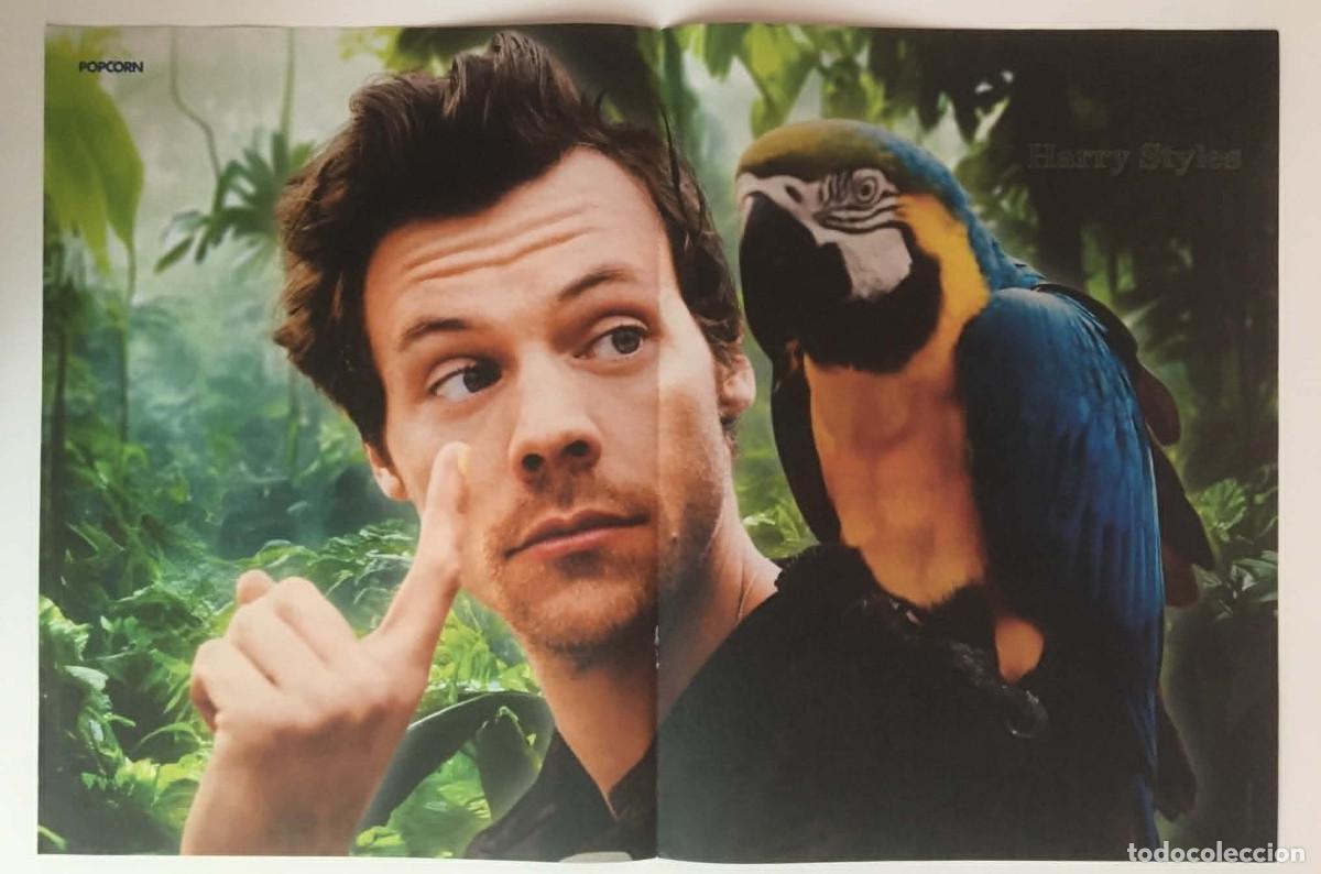 Coleccionismo de carteles: Harry Styles / Lil Nas X Double-Sided Poster A3 Popcorn Magazine Germany Music One Direction 1D