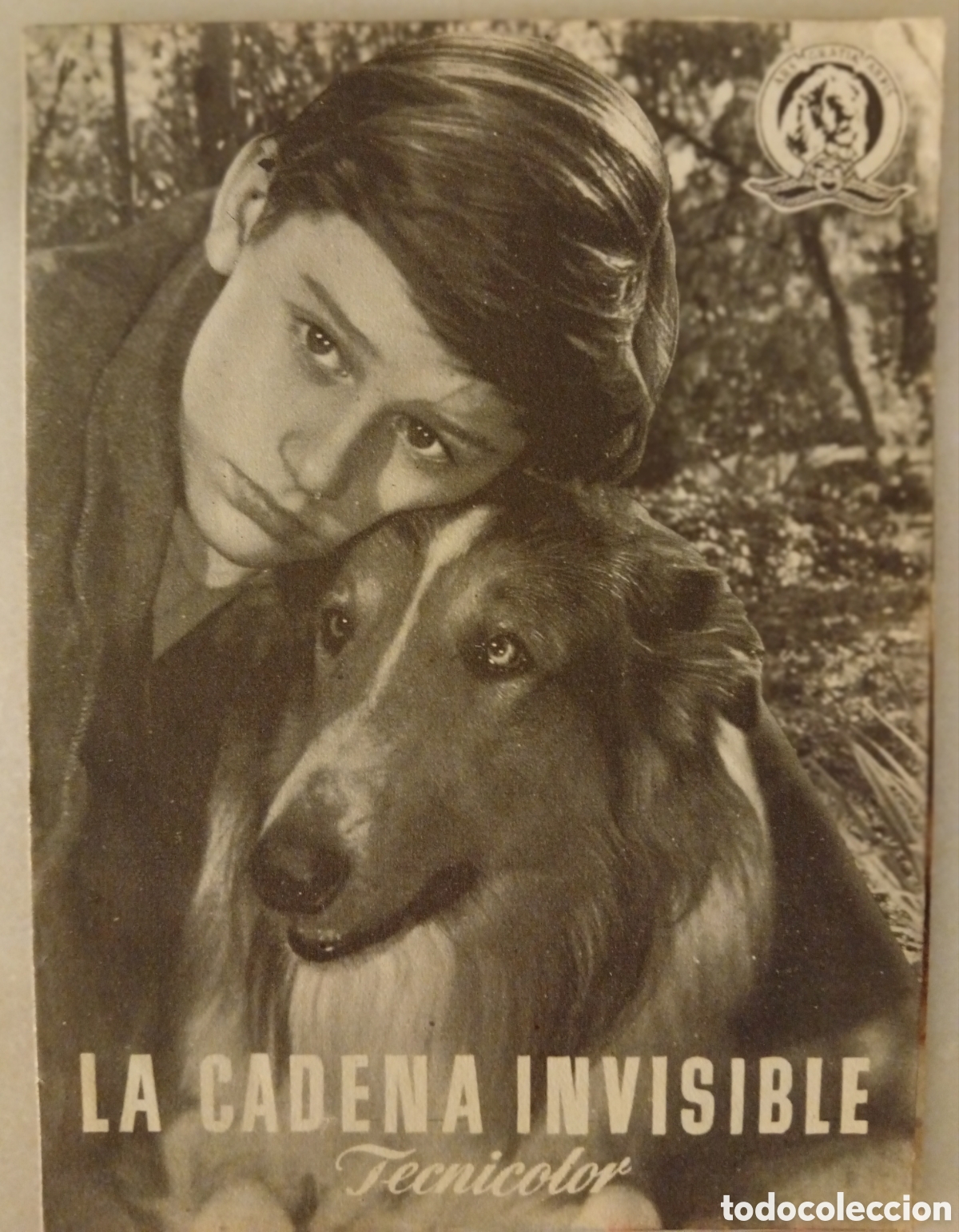 Coleccionismo de carteles: Tecnicolor Folleto de mano cine de la pel&iacute;cula la cadena invisible