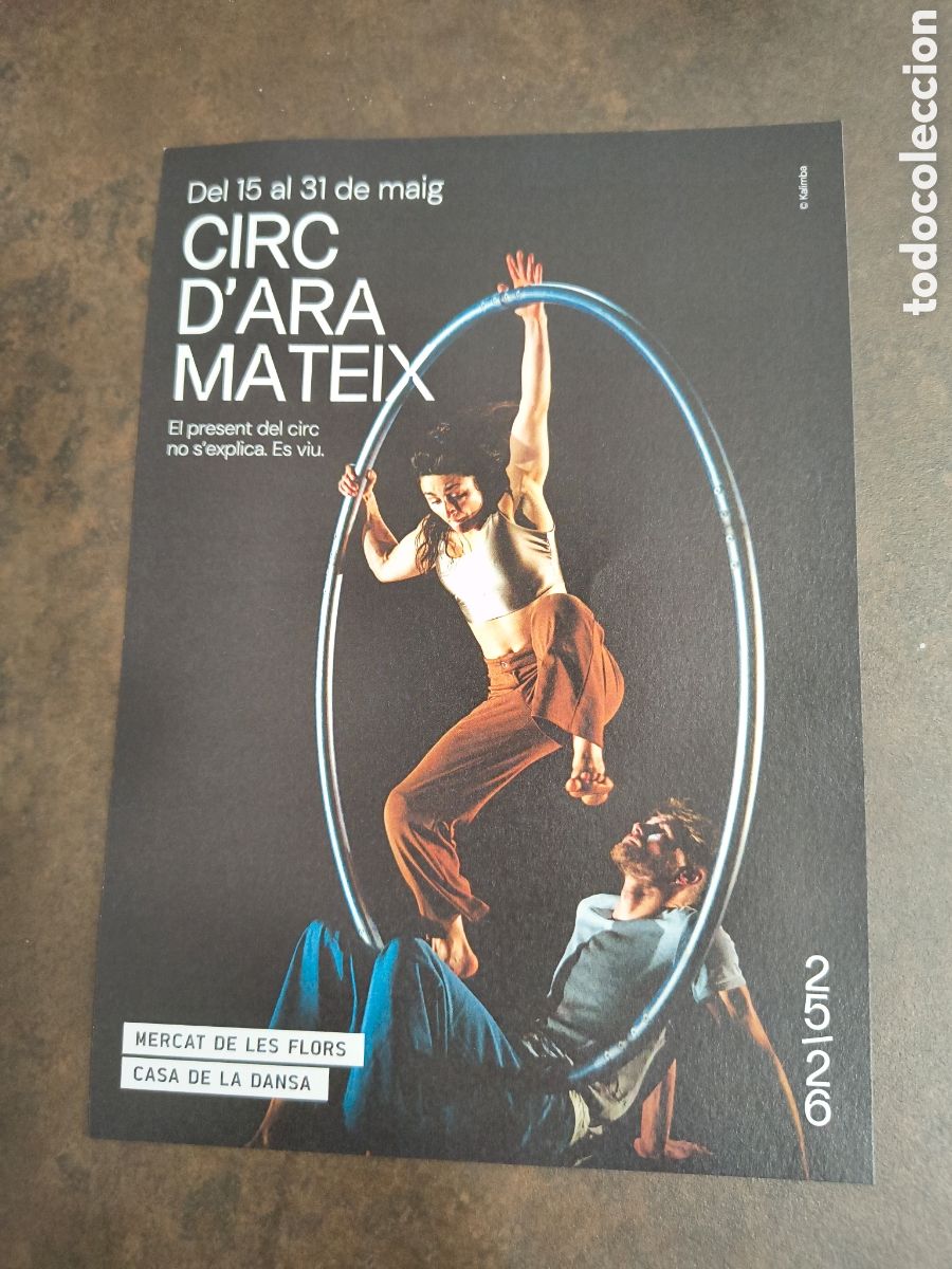 Coleccionismo de carteles: CIRC D&acute;ARA MATEIX (MERCAT DE LES FLORS)
