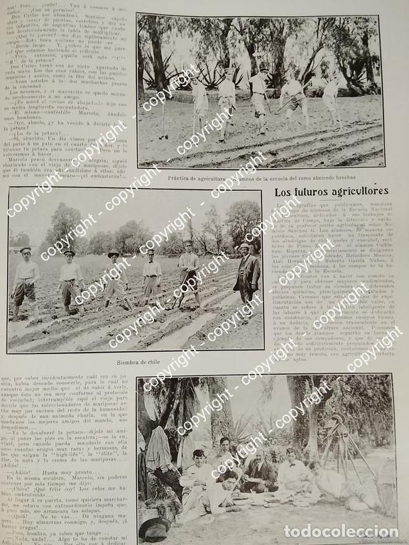 Sammeln von Plakaten: AFICHE ANTIGUO. BREVE NOTA ESCUELA DE AGRICULTURA ( U. CHAPINGO) 1912