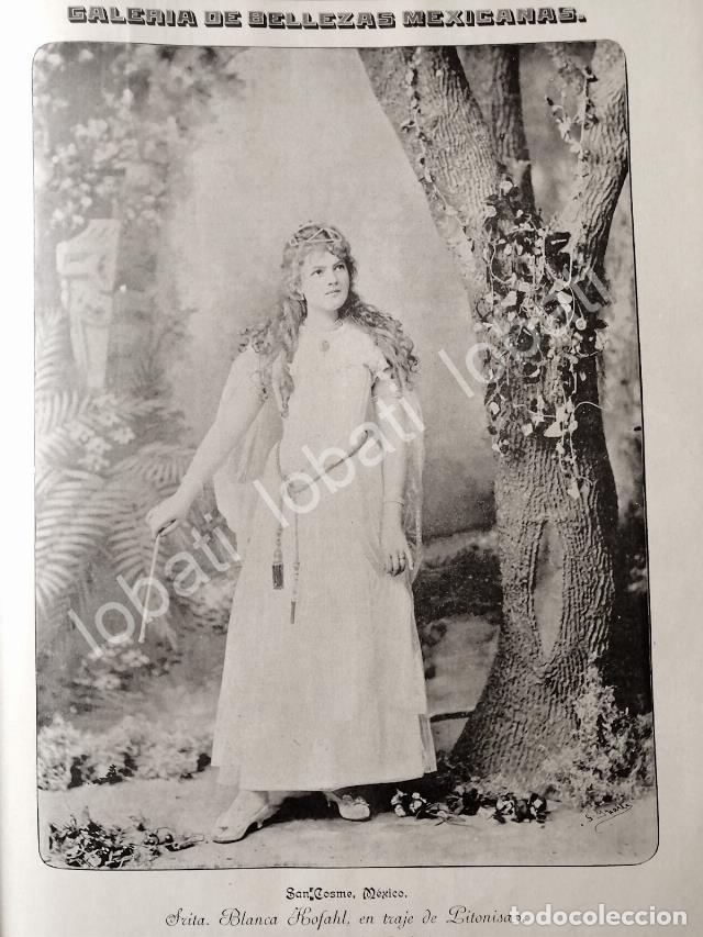 Poster collecting: GRABADO ANTIGUO 1895 BLANCA KOFHAL NARVAEZ DE OCTAVIANO DE LA MORA /ASM