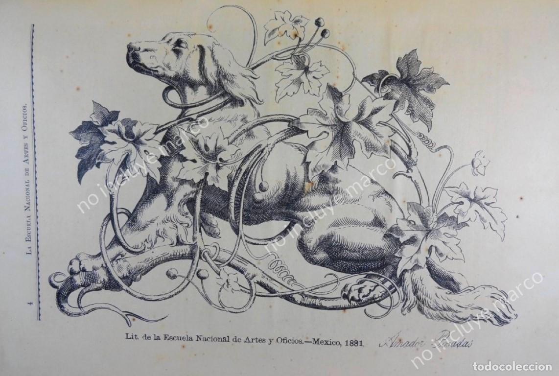 Coleccionismo de carteles: RARISIMO GRABADO ANTIGUO DE AMADOR POSADAS 1881 /PERRO