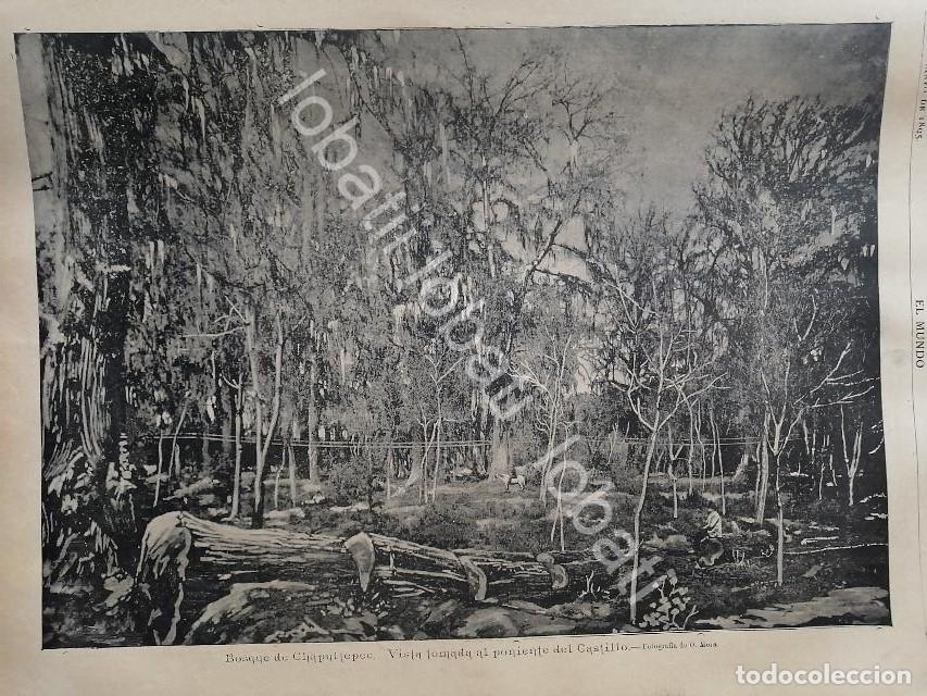 Collezionismo di affissi: GRABADO ANTIGUO 1895 BOSQUE DE CHAPULTEPEC /LDM