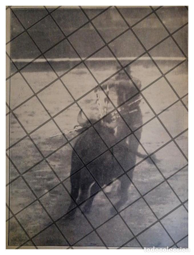Collezionismo di affissi: FOTO GRABADO ANTIGUO. TORERO. MANUEL GARCIA MAERA 1922