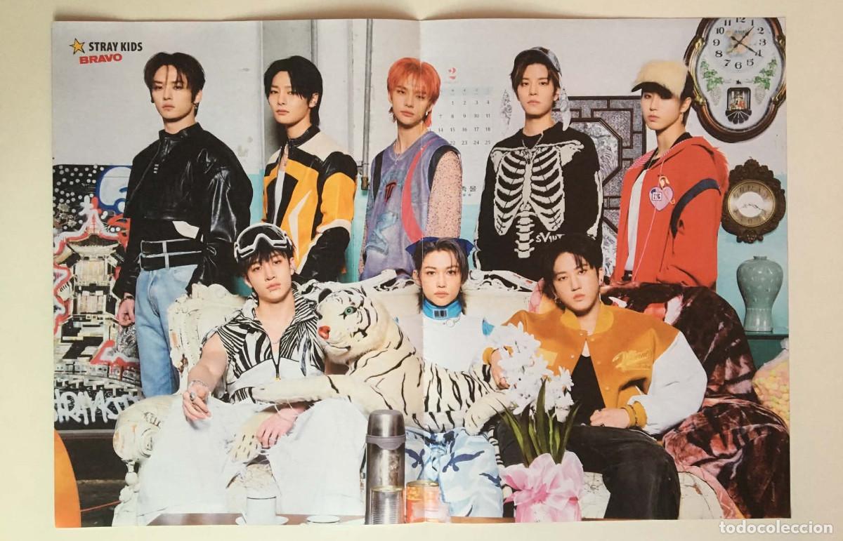 Coleccionismo de carteles: Stray Kids / Dove Cameron Double-Sided Poster A3 - Bravo Magazine Bulgaria Music K-Pop TV