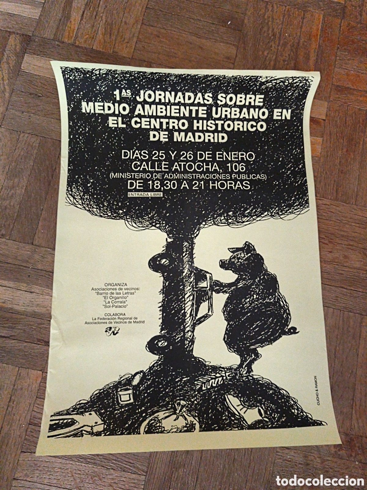 Coleccionismo de carteles: Poster Jornadas sobre medio ambiente