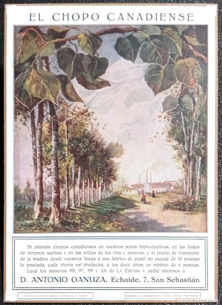 Coleccionismo de carteles: SAN SEBASTI&Aacute;N - D. ANTONIO GANUZA, VIVEROS ? - PUBLICIDAD ORIGINAL LA ESFERA 1915 / 33 x 23 Cm.