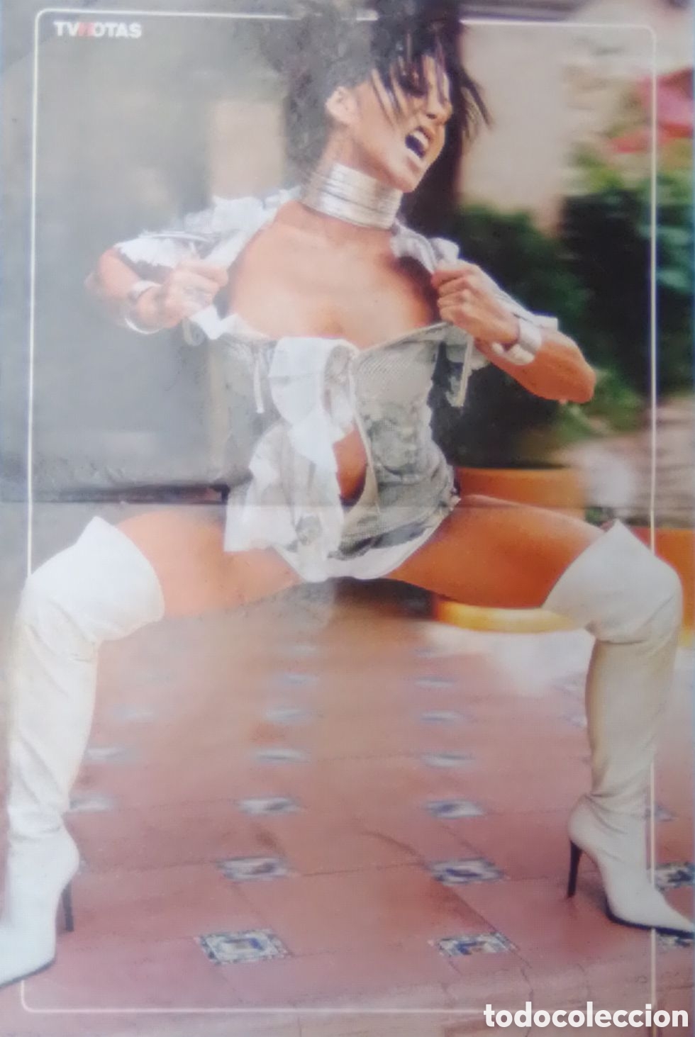 Sammeln von Plakaten: Alejandra Guzm&aacute;n. P&oacute;ster de 41 x 27 cm.