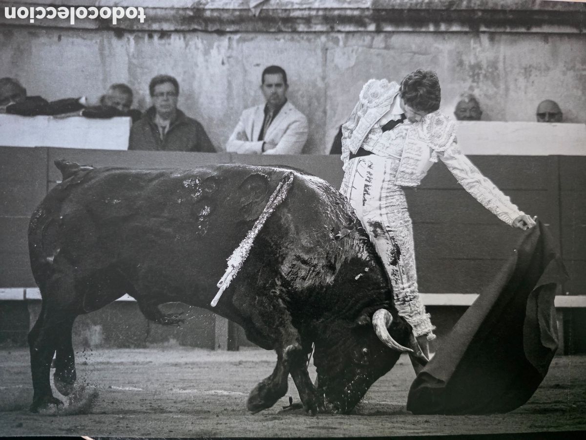 Colecionismo de cartazes: FOTO B/N DEL TORERO SEBASTI&Aacute;N CASTELLA