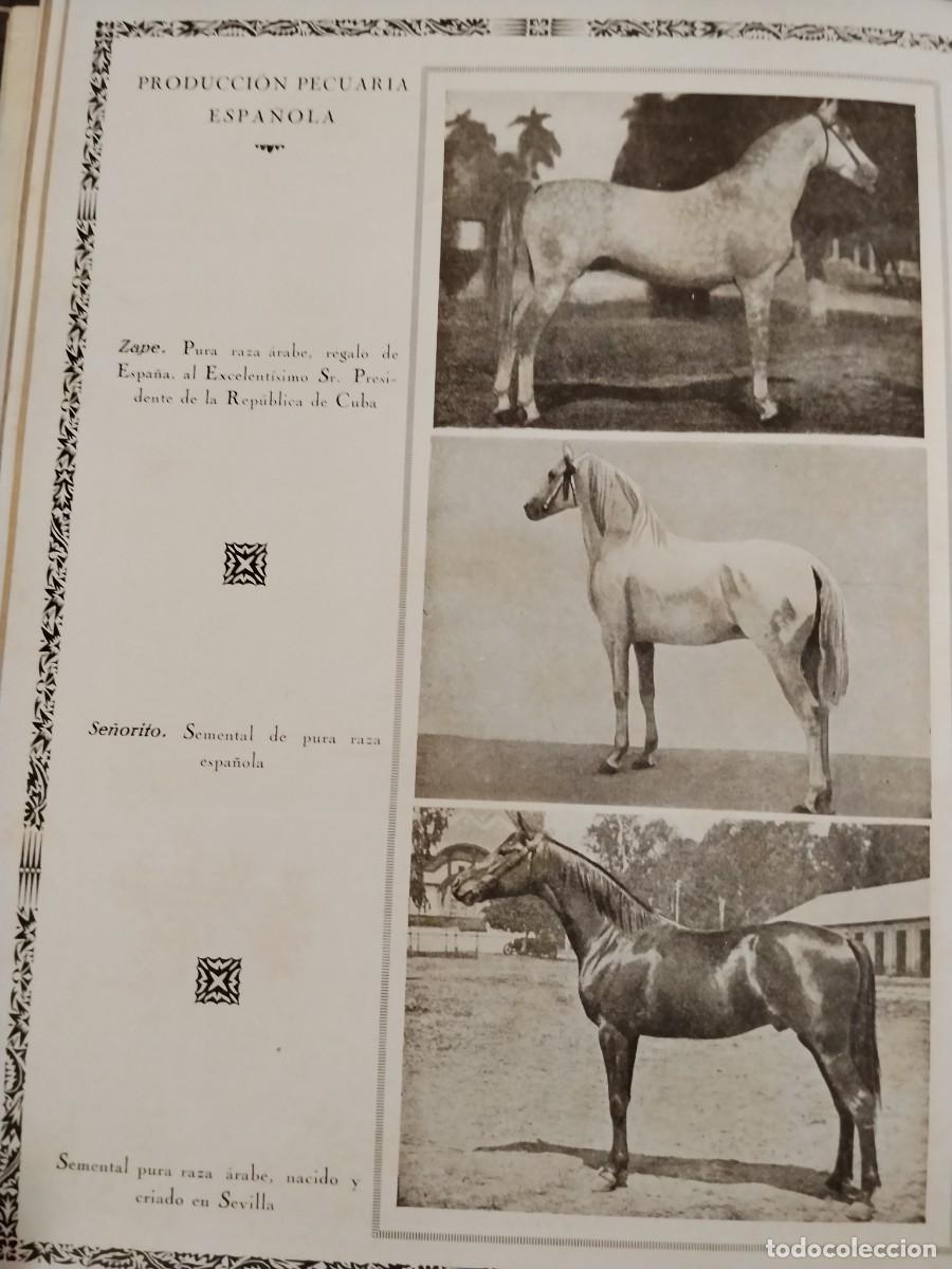 Coleccionismo de carteles: FABRICA DE CONSERVAS ELOY TEMPLADO TORNERO ALGUAZAS MURCIA HOJA A&Ntilde;O 1931-1932