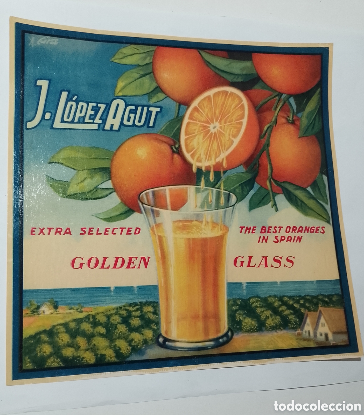 Coleccionismo de carteles: Antigua etiqueta de naranjas Golden Glass