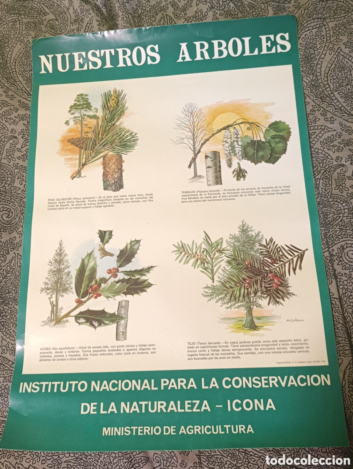 Collectionnisme d'affiches: Poster l&aacute;mina instituto nacional para la conservaci&oacute;n de la naturaleza 1