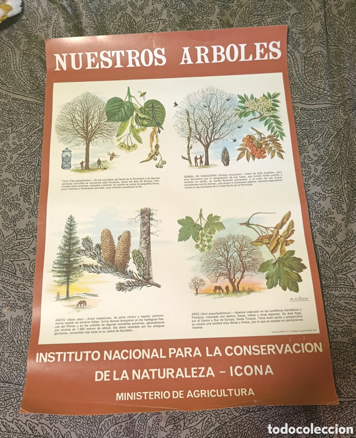 Sammeln von Plakaten: Poster l&aacute;mina instituto nacional para la conservaci&oacute;n de la naturaleza 2
