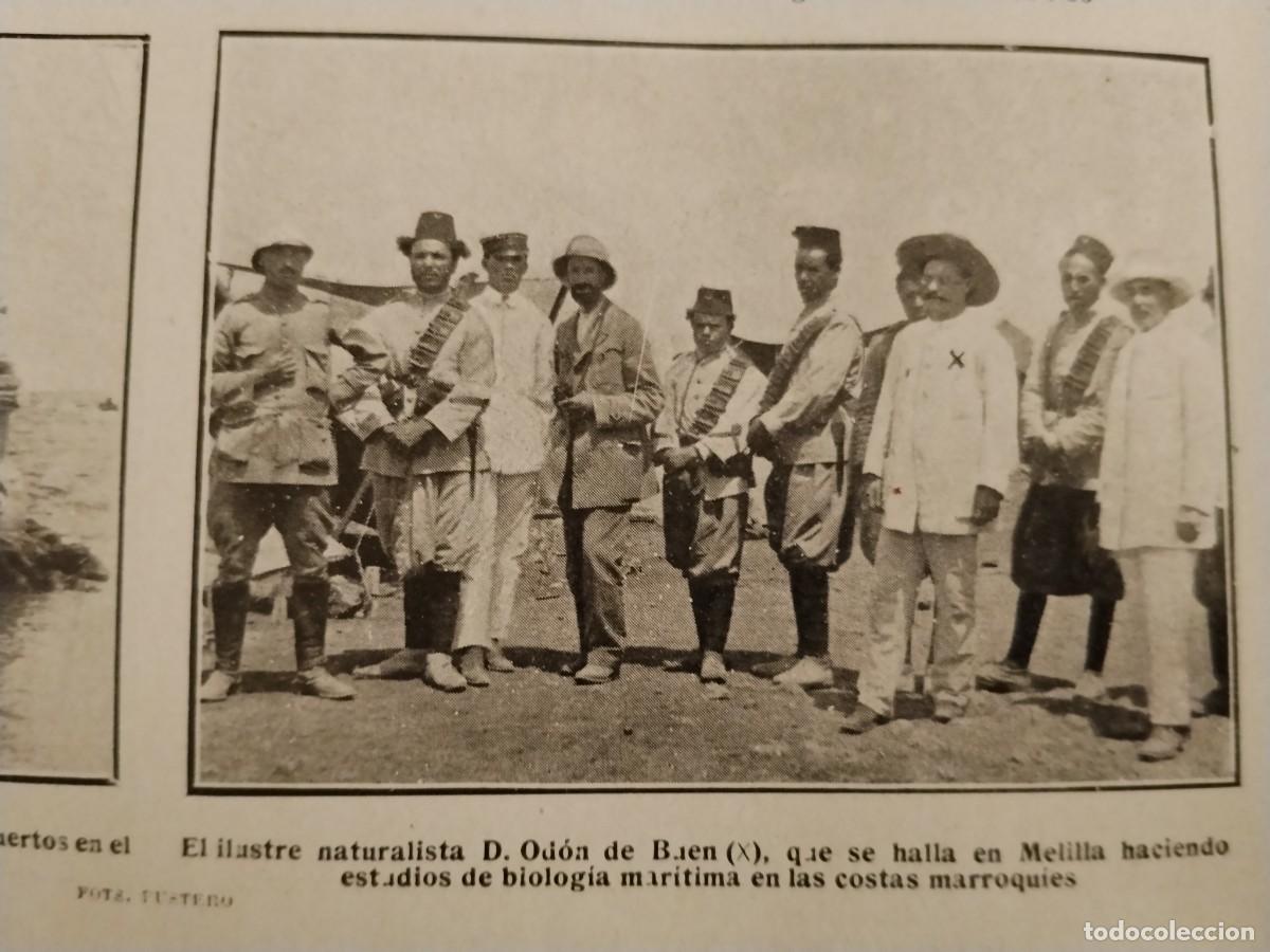 Coleccionismo de carteles: NATURALISTA ODON DE BAEN MELILLA HOJA A&Ntilde;O 1912