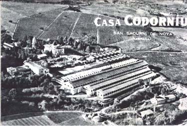 Coleccionismo de cava: Codorn&iacute;u - San Sadurni de Noya - Foto 1