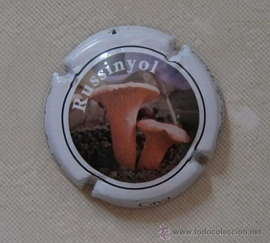 Coleccionismo de cava: PLACA DE CAVA FUCHS DE VIDAL. CHAPA RUSSINYOL - Foto 1