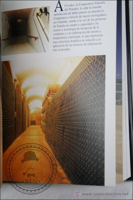 Coleccionismo de cava: Libro El Cava y Sus Elaboradores - RT&A Ediciones, A&ntilde;o 1996 - Foto 4