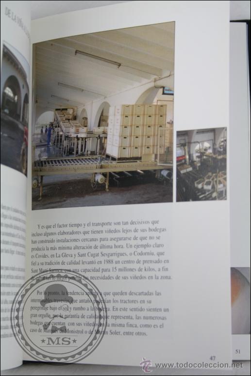 Coleccionismo de cava: Libro El Cava y Sus Elaboradores - RT&A Ediciones, A&ntilde;o 1996 - Foto 7