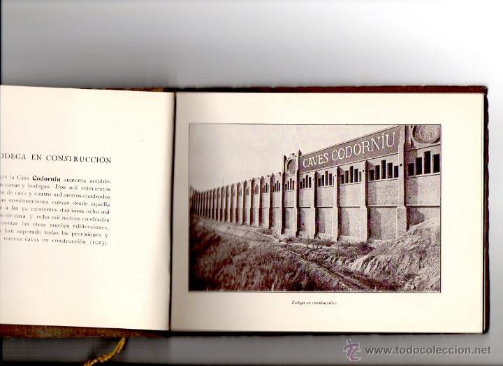 Coleccionismo de cava: CODORNIU ** LIBRO ANTIGUO DE 1924 - Foto 2