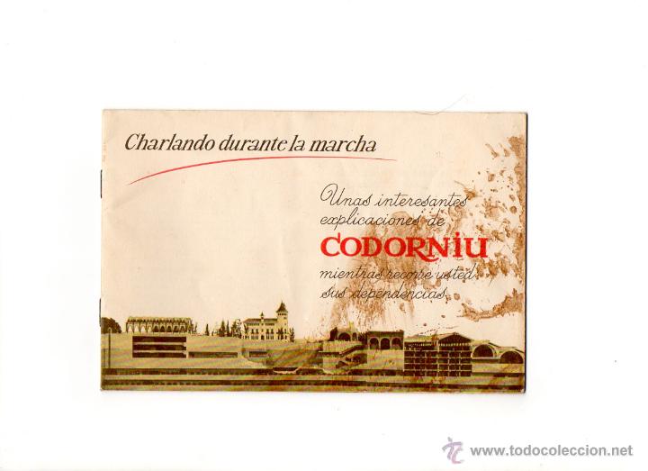 Coleccionismo de cava: CODORNIU ** LIBRO ANTIGUO DE 1924 - Foto 3