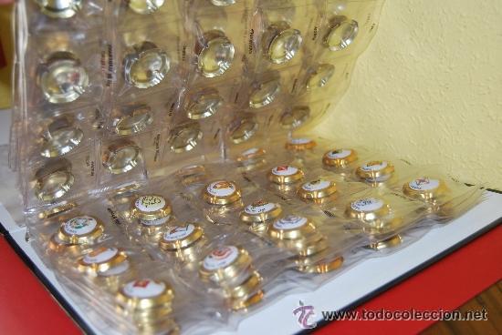 Coleccionismo de cava: CHAPAS SUELTAS DE CAVA DE LOS MUNICIPIOS PROVINCIA DE TARRAGONA - PIRULAS - CONSULTA TUS FALTAS