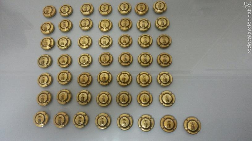 Coleccionismo de cava: 50 PLACAS DE CAVA FREIXENET - Foto 1