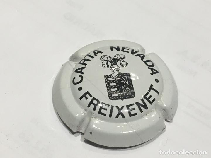 Coleccionismo de cava: EXCEPCIONAL PLACA DE CAVA FREIXENET - Foto 1