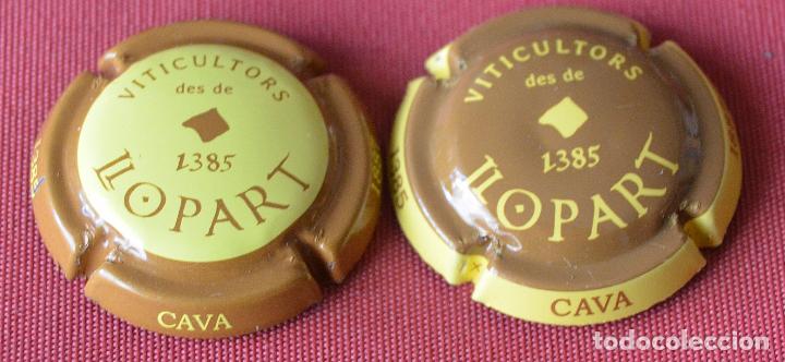 Coleccionismo de cava: 2 PLACAS - PLACA DE CAVA - CHAPA - LLOPART
