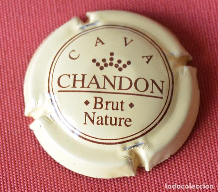 Coleccionismo de cava: PLACA DE CAVA - CHAPA - CHANDON - BRUT NATURE