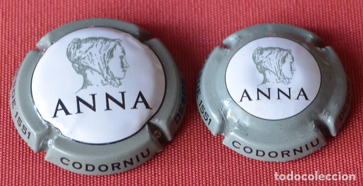 Coleccionismo de cava: 2 PLACAS - PLACA DE CAVA - CHAPA - ANNA - CODORNIU NORMAL Y PEQUE&Ntilde;A