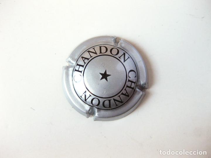 Coleccionismo de cava: PLACA DE CAVA MOET & CHANDON - Foto 1