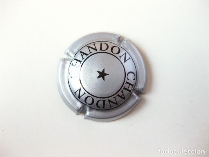 Coleccionismo de cava: PLACA DE CAVA MOET CHANDON - Foto 1