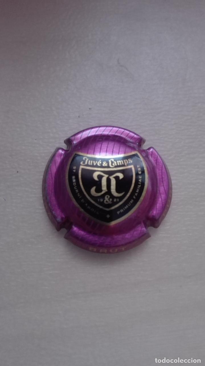 Coleccionismo de cava: PLACA CHAPA DE CAVA JUVE CAMPS