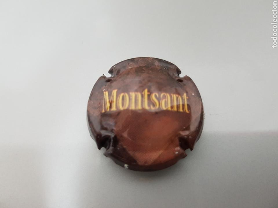Coleccionismo de cava: PLACA DE CAVA MONTSANT - Foto 1