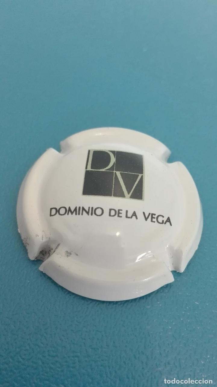 Coleccionismo de cava: PLACA CHAPA DE CAVA DOMINIO DE LA VEGA VALENCIA