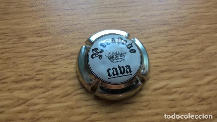 Coleccionismo de cava: Cava Recaredo. Placa - Foto 1