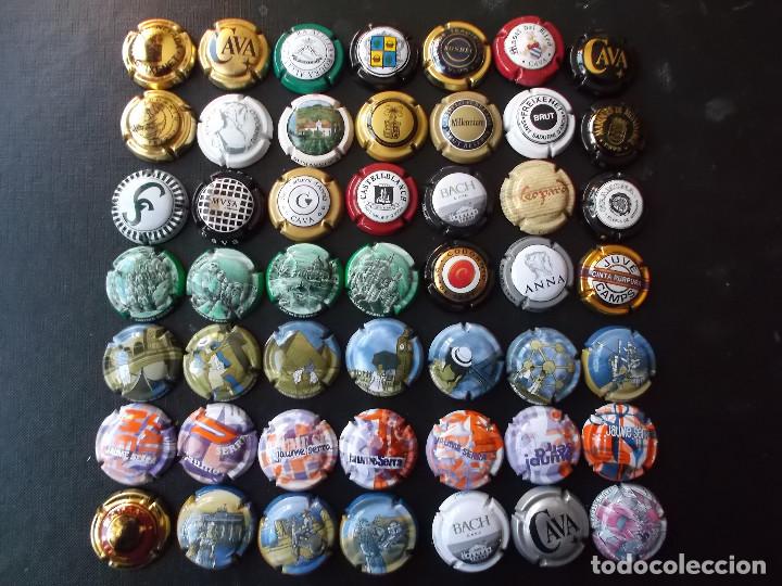 Coleccion de 49 chapas de cava diferentes marca - Vendido en Subasta