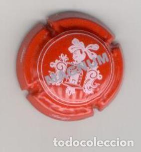Coleccionismo de cava: PLACA DE CAVA * MAGNUM * - Foto 1