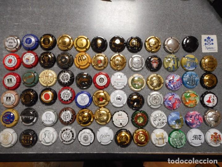 La Chapa de Cava Más Cara del Mundo: Historia y Valor