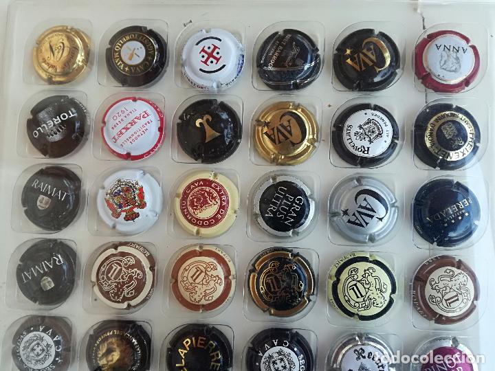 coleccion de 96 chapas de cava son todas difere - Comprar Coleccionismo