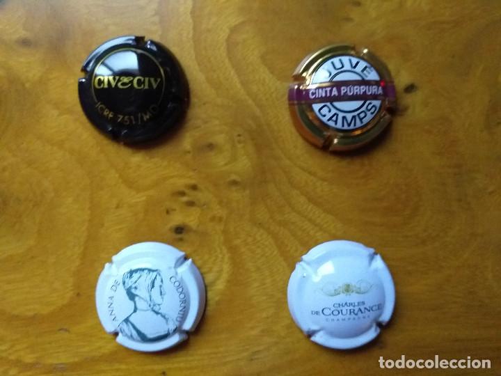 Coleccionismo de cava: LOTE 4 PLACAS DE CAVA - Foto 1