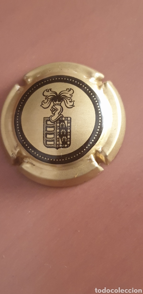 Coleccionismo de cava: PLACA BOTELLA DE CAVA - Foto 1